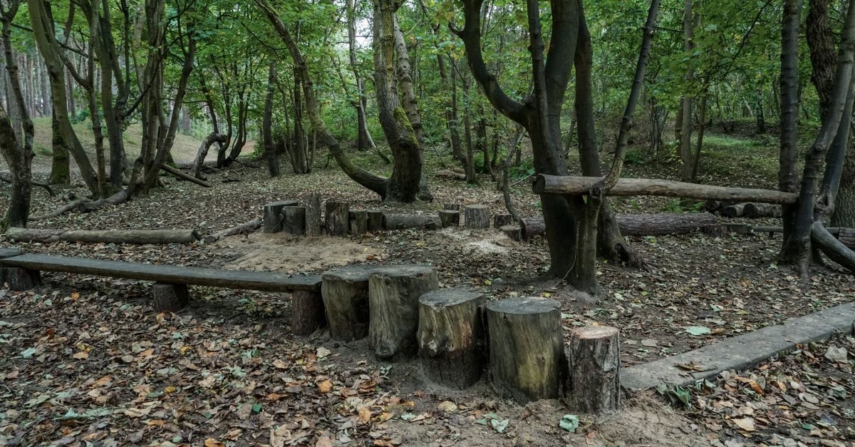 Wakacje pod chmurką: zorganizuj leśne przedszkole i zamień każdy dzień w przygodę